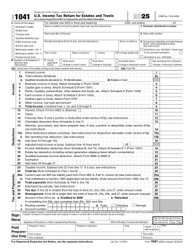 Form 1041 preview