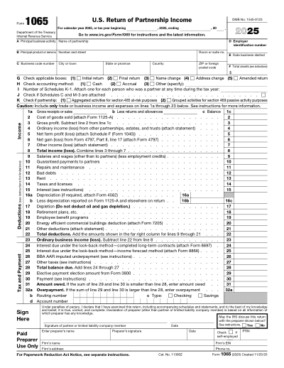 Form 1065 preview